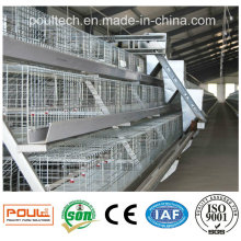 Best Price High Quality Automatic Pullet Chicken Coop Cage